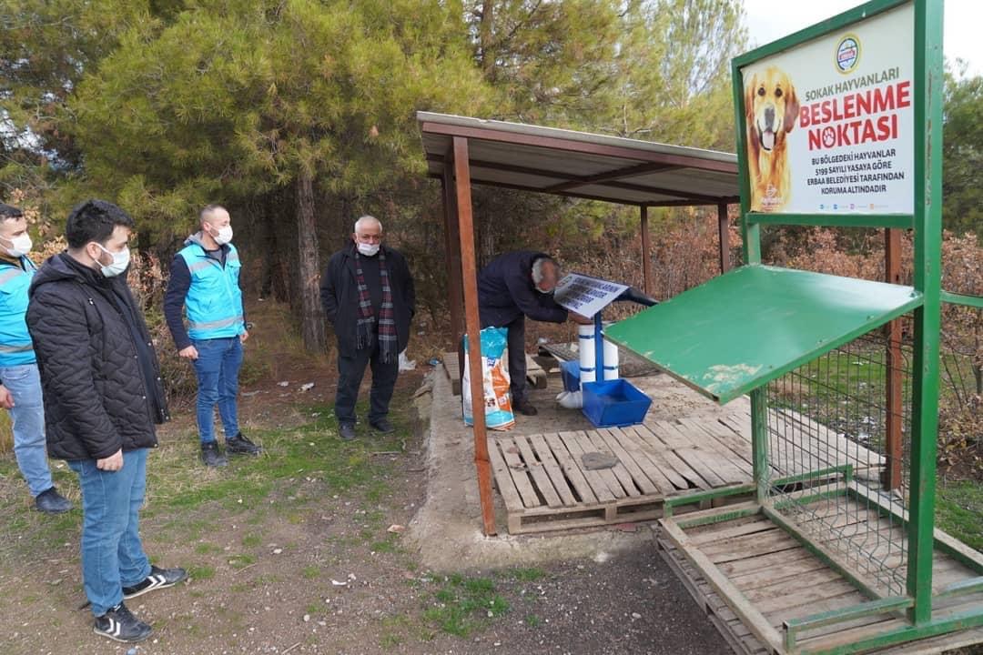 Yaban Hayvanlarını Unutmadık.